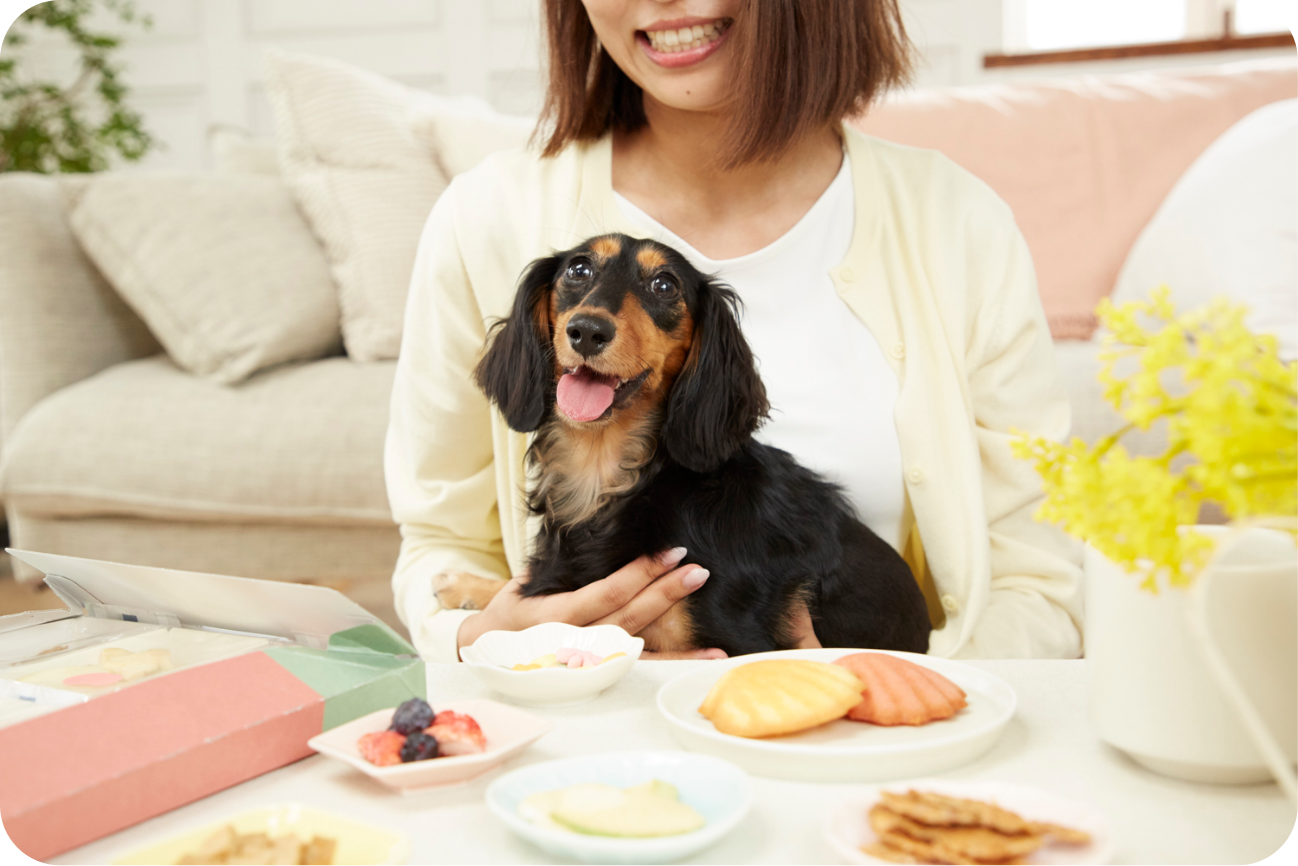 おやつタイムを楽しむワンちゃんの画像